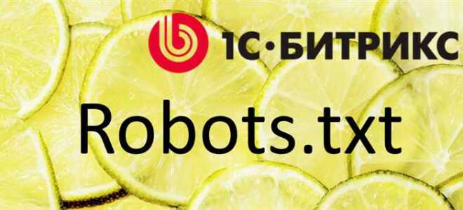 Где находится robots txt в битрикс