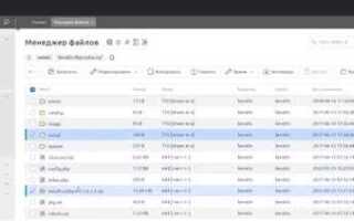 Где лежит sitemap opencart