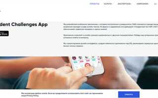 Чем занимается php программист