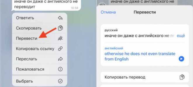 Где найти переводчик в telegram