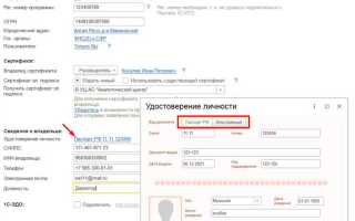 Как подключить модуль сервис проверка контрагента 1с