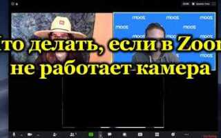 Почему в zoom не работает камера