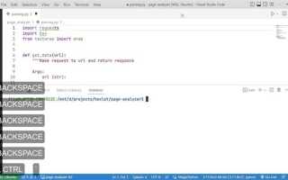Как изменить терминал в visual studio code