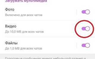 Как скачать видео с telegram на компьютер