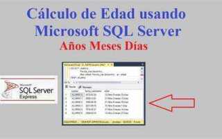 Как вычислить возраст в sql