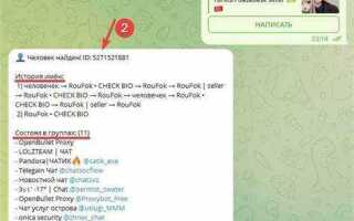 Как пробить авто через telegram