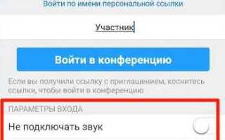 Как настроить звук на zoom