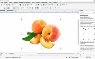 Как преобразовать фото в векторный рисунок coreldraw
