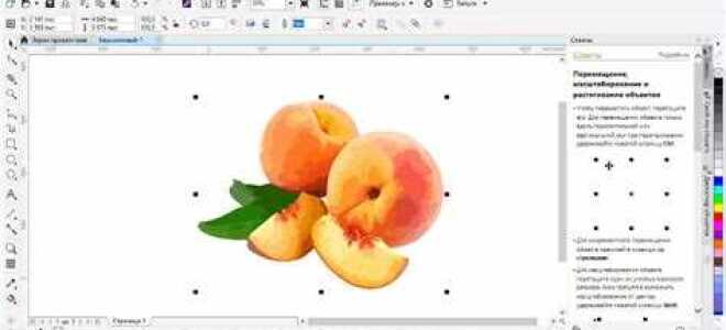 Как преобразовать фото в векторный рисунок coreldraw