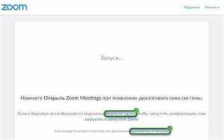 Как найти конференцию в zoom по идентификатору