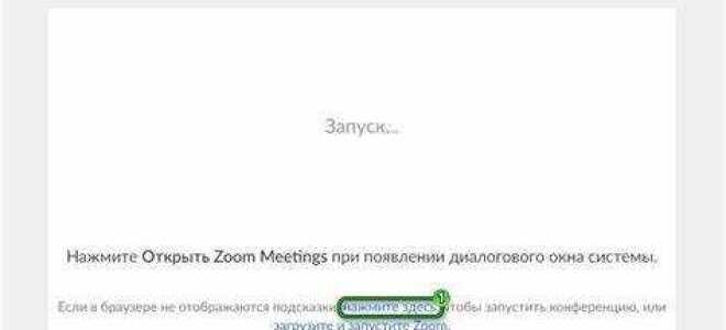 Как найти конференцию в zoom по идентификатору