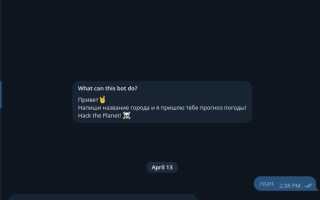 Как создать бота в телеграмм python
