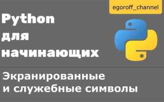 Для чего в языке python используются символы