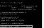 Как создать рабочий каталог для python