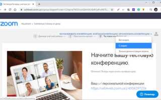 Как общаться в zoom
