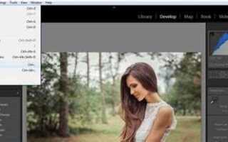 В какой папке находятся пресеты lightroom