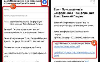 Как запланировать конференцию в zoom