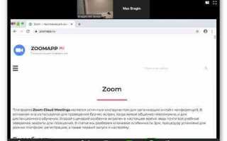 Как записать конференцию в zoom