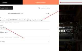 Как сделать активным номер телефона на сайте tilda