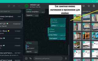 Как импортировать чат в whatsapp из zip
