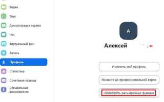Как понять руку в zoom