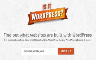 Какая тема wordpress на сайте