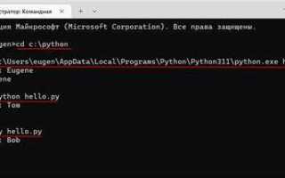 Как создать файл в python