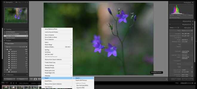 Как экспортировать стиль из lightroom на телефоне