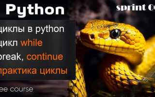 Как использовать continue в python