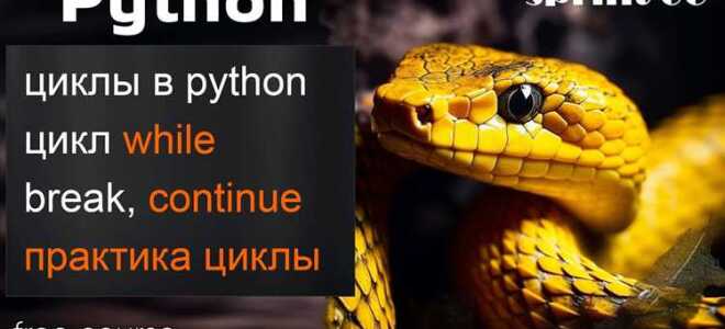 Как использовать continue в python