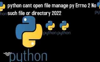 Как открыть файл с помощью python os