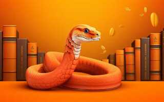 Как работать с библиотеками python