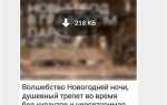Как найти избранные сообщения в whatsapp