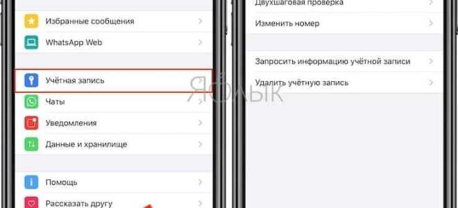 Как найти заблокированные контакты в whatsapp