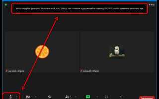 Как отключить звук микрофона в zoom