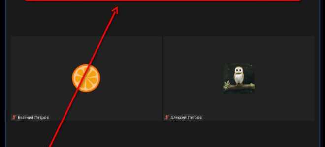 Как отключить звук микрофона в zoom