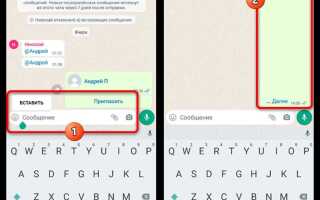 Как сделать сообщение непрочитанным в whatsapp