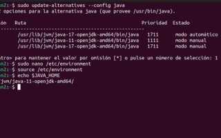 Как установить java на debian