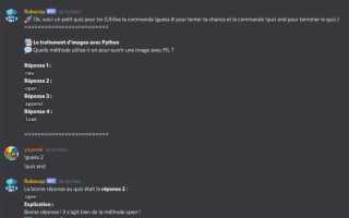 Как сделать команду clear discord py
