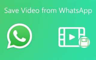 Как скачать медиафайлы из whatsapp на компьютер