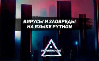 Как писать вирусы python