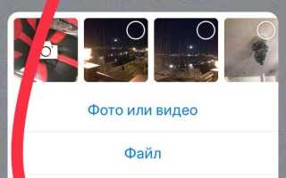 Как сделать опрос в telegram