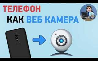 Как установить камеру 9 16 для zoom