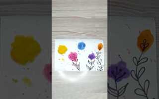 Что нарисовать в painter