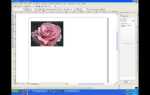 Как скопировать объект в coreldraw