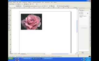 Как скопировать объект в coreldraw