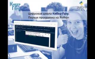 Где писать на python