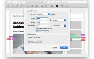Как сделать картинку адаптивной в html