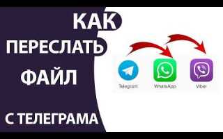 Как с viber информацию перекинуть на whatsapp
