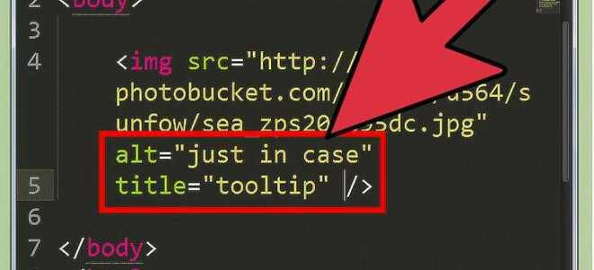 Как сделать фон в html сайте